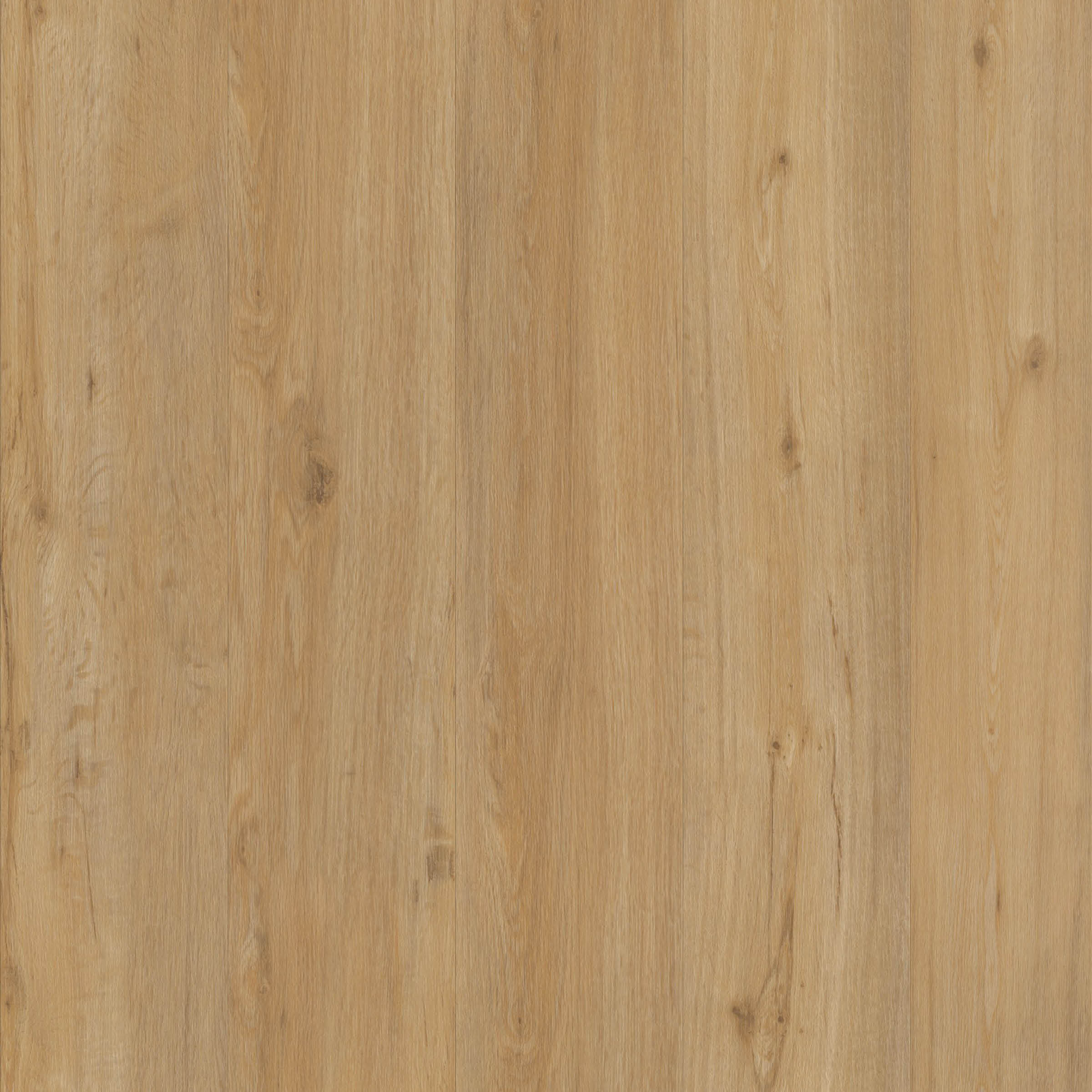 DK Designboden Ballerina zum Klicken, 212x1.239mm, Paket 1,84m², 7 Planken